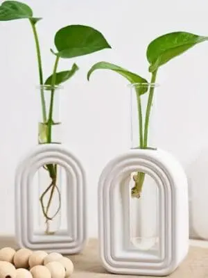Arched Vase Silicone Mould + Test Pipe Planter 2 Silicone Moulds : Arched Vase Silicone Mould (Includes x1 Tube) (AVM)