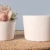 Silicone Mould : Dual-Size Cylindrical Flower Pots Silicone Mould (DZFP)
