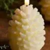 Pine Cone Candle Mould 3 Silicone Mould : Pine Cone Mould (PCCM)