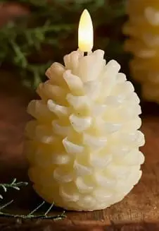 Pine Cone Candle Mould 3 Silicone Mould : Pine Cone Mould (PCCM)