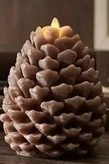 Pine Cone Candle Mould 4 Silicone Mould : Pine Cone Mould (PCCM)
