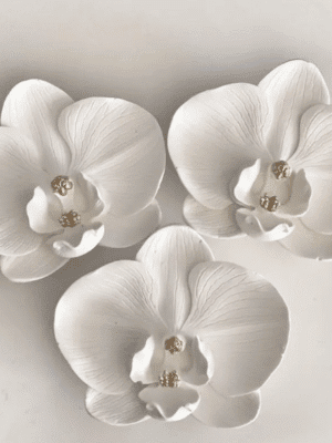 Silicone Mould : Phalaenopsis Orchid Flower Silicone Mould (PhlOrc)