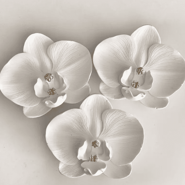 Orchid Silicone Mould : Phalaenopsis Orchid Flower Silicone Mould (PhlOrc)