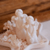 Silicone Mould : 1 Piece Angel Holding Heart Silicone Mould (AngHrt-Hold)