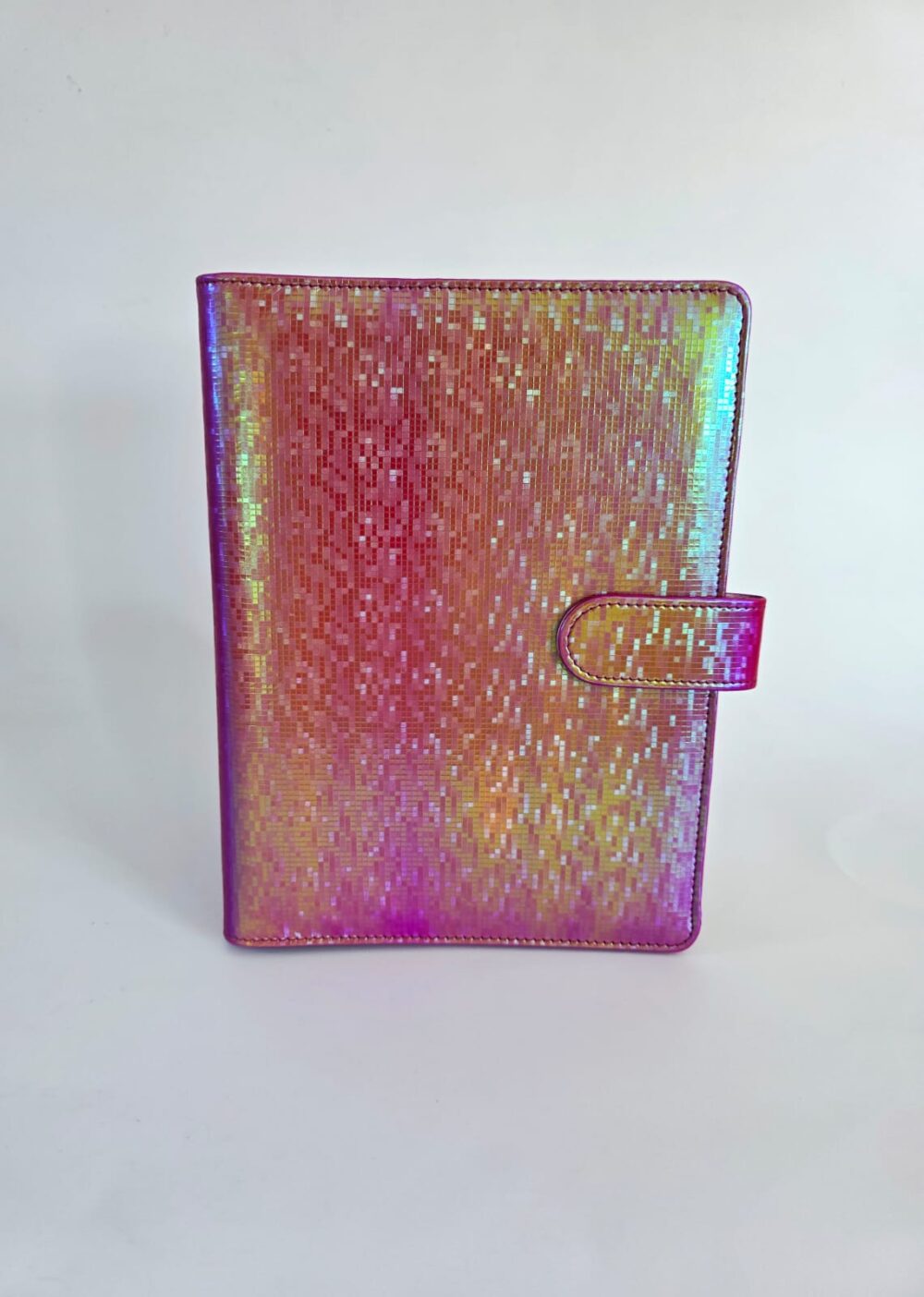 Irr_HotPin_Front Budget Binders : A5 Iridescent Budget Binders