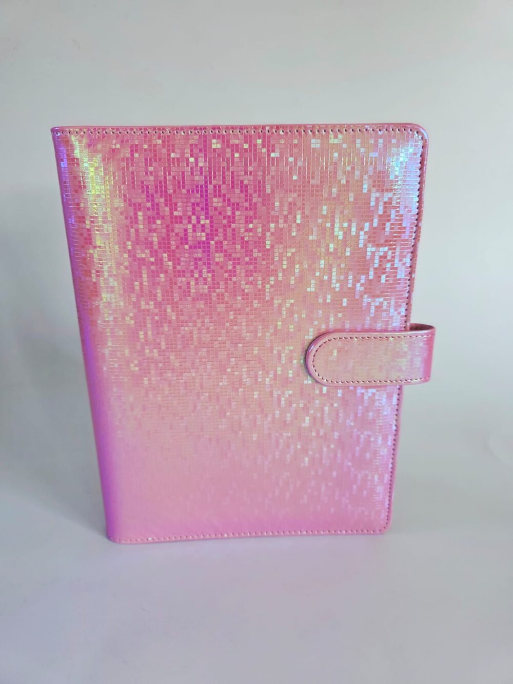 Irr_blushFRONT Budget Binders : A5 Iridescent Budget Binders