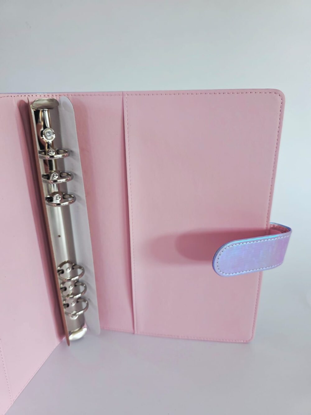 Irr_silverliacinner Budget Binders : A5 Iridescent Budget Binders