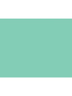 Cc-prem-vinyl-perm-30x120-pg.. mywi 2005219 - Cricut Premium Vinyl perm 30x120cm (Pastel Green)