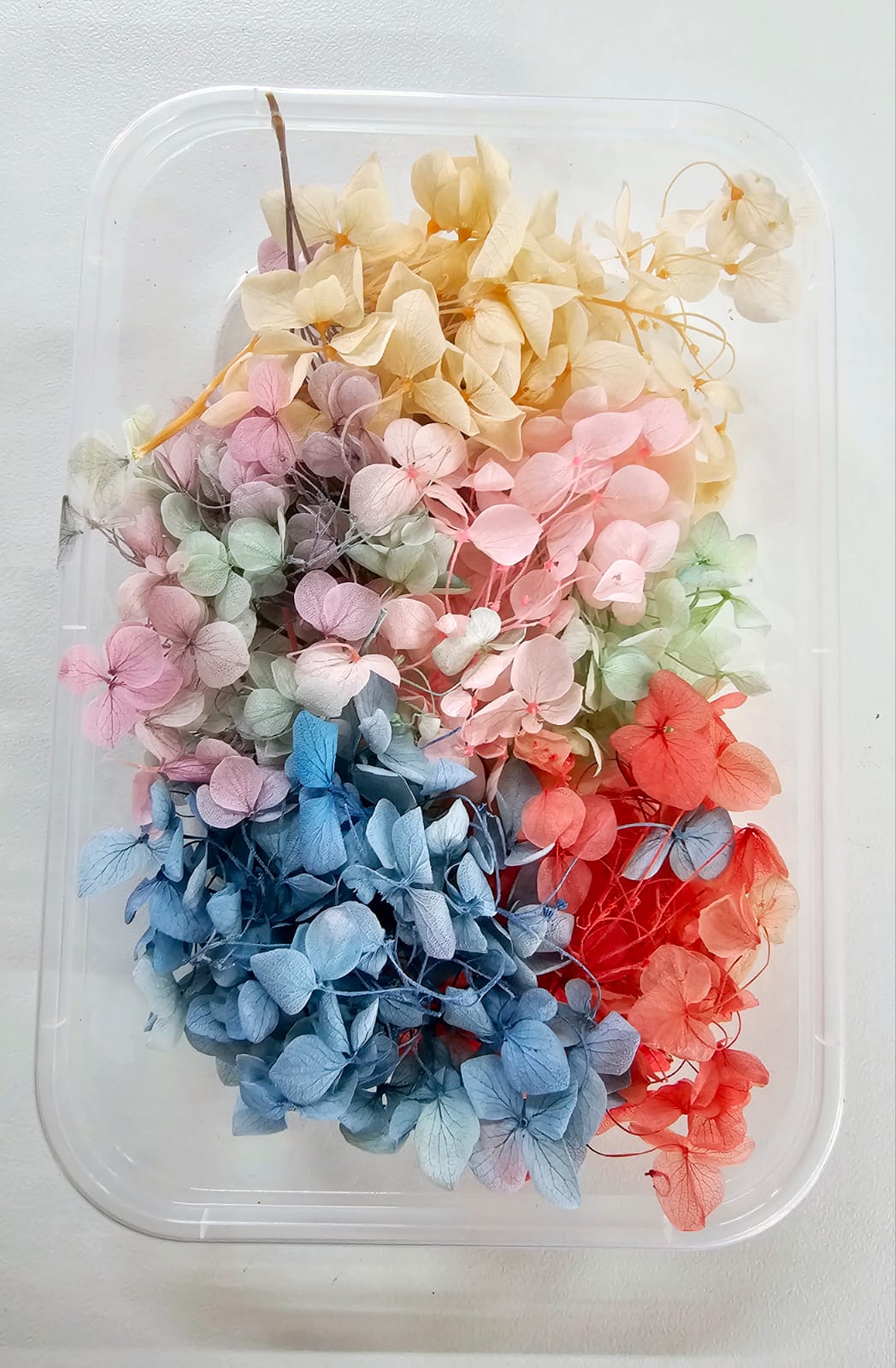 Epoxy, Soap & Candle Art : Dried Flowers (DF10)