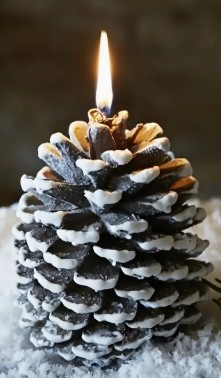 Silicone Mould : Pine Cone Mould (PCCM)