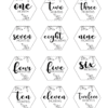 Milestone_White UV DTF : Baby Milestone Gift Set 1 to 12months Hexagon Discs in White UV Print (with or without storage bag)