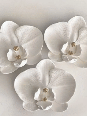 Silicone Mould : Phalaenopsis Orchid Flower Silicone Mould (PhlOrc)