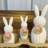Silicone Moulds : 3 Piece Silicone Rabbit Set (3Pcbun)